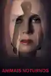 Animais Noturnos