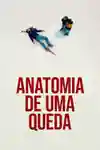 Anatomia de Uma Queda